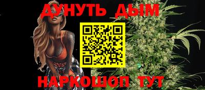 сатива Краснодар