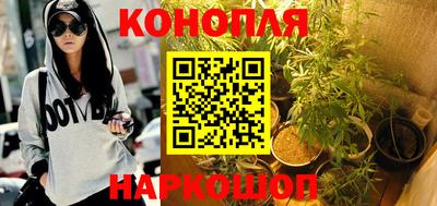 сатива Краснодар