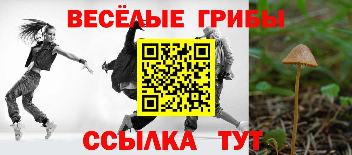 Электрогорск  Галлюциногенные грибы Psilocybe  Вход с VPN  Псилоцибиновые грибы Psilocybine cubensis 